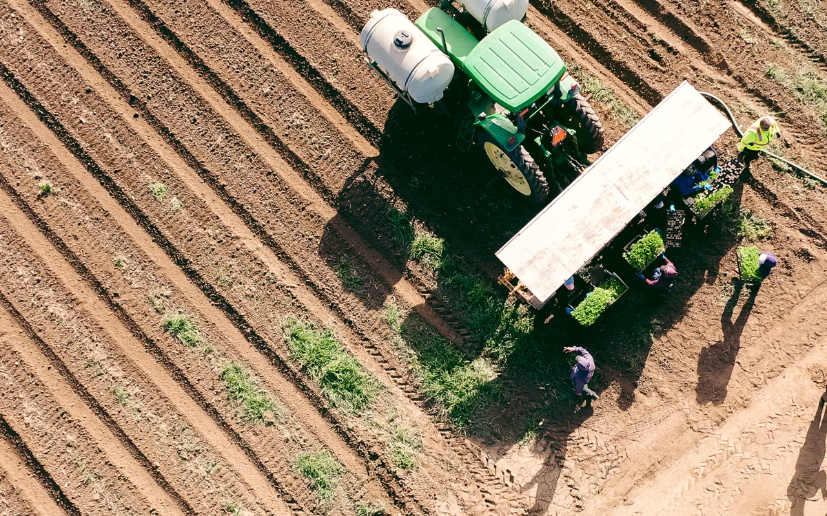 From Soil to Oil: An Untold Journey